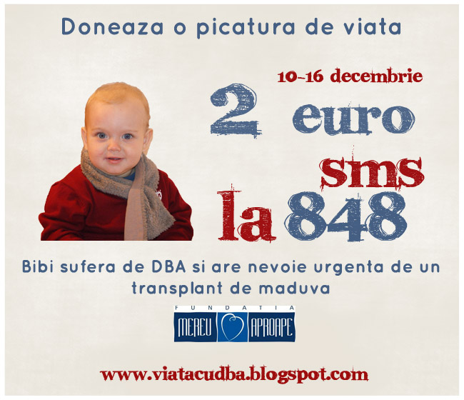 Banner central blog Bibi